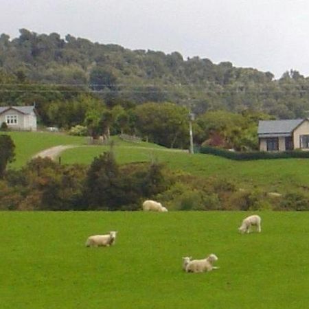 Hilltop Accommodation Catlins Papatowai Exterior photo