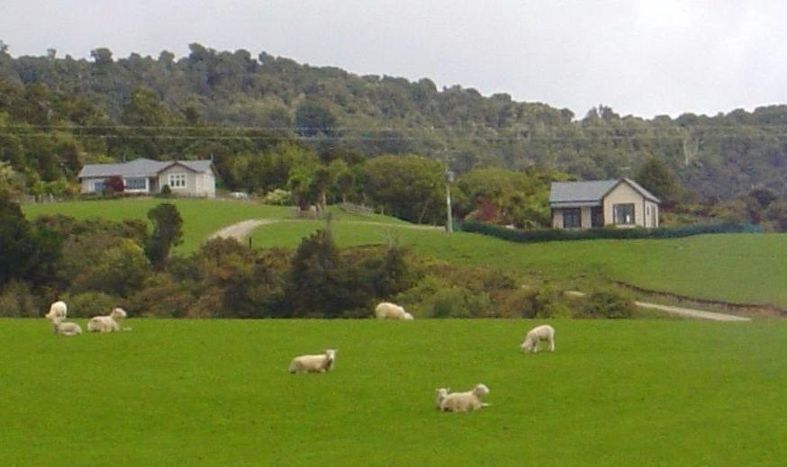 Hilltop Accommodation Catlins Papatowai Exterior photo