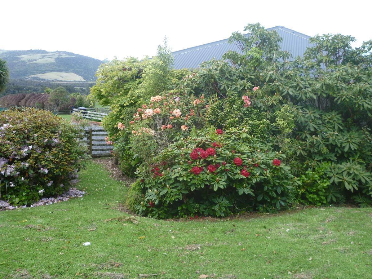 Hilltop Accommodation Catlins Papatowai Exterior photo