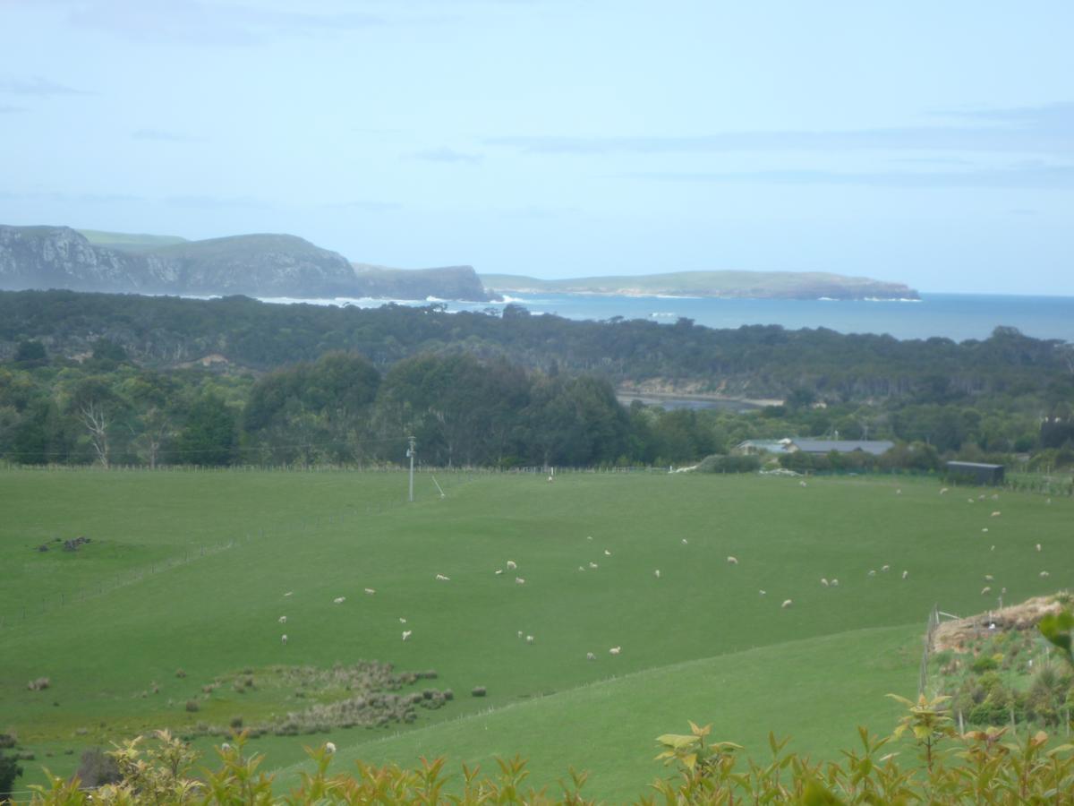 Hilltop Accommodation Catlins Papatowai Exterior photo