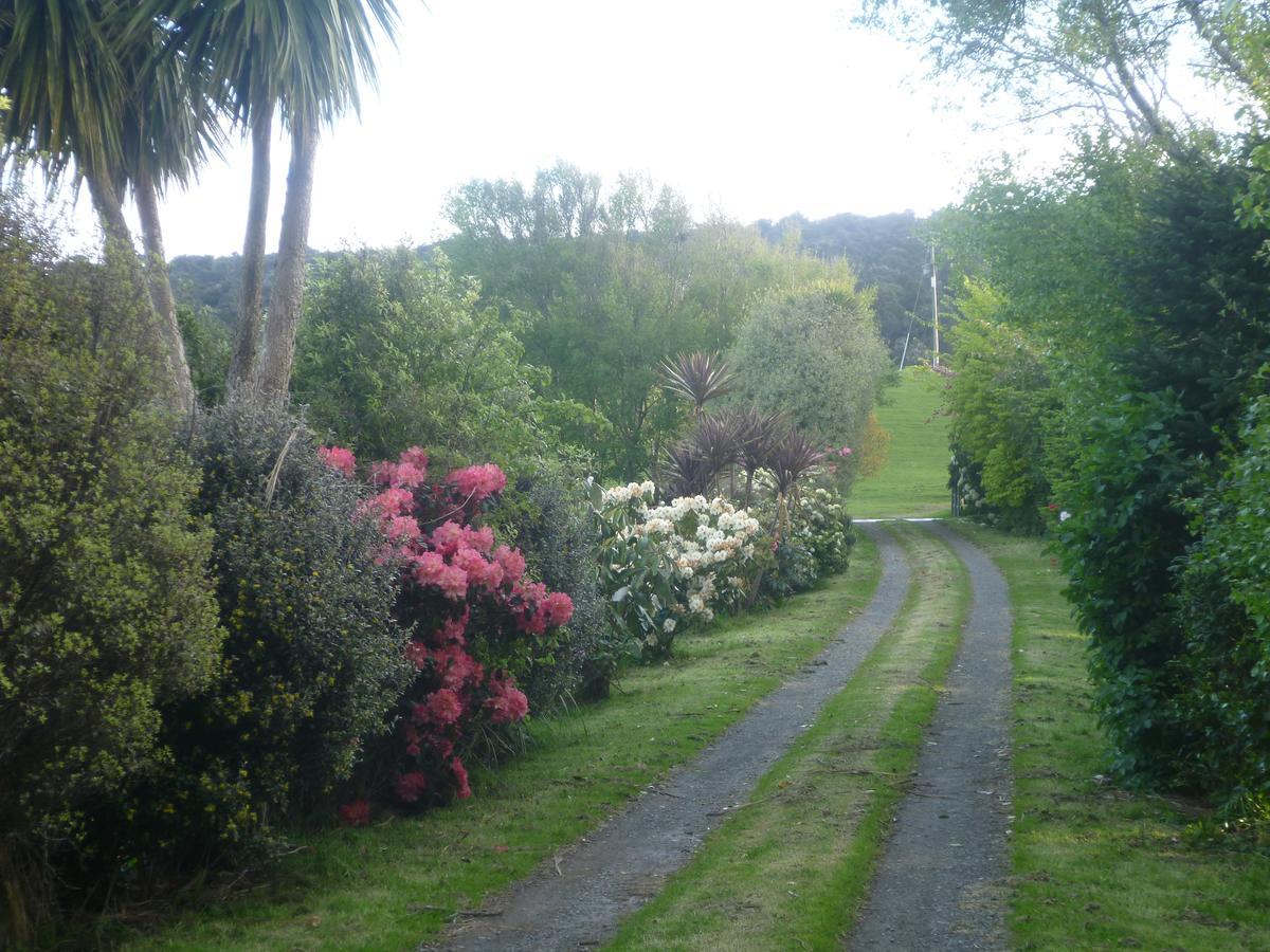 Hilltop Accommodation Catlins Papatowai Exterior photo